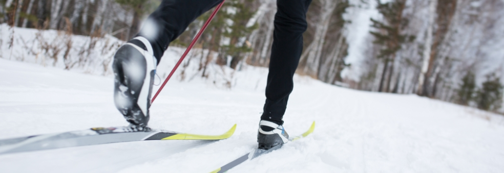 Alta skikarusell 2019